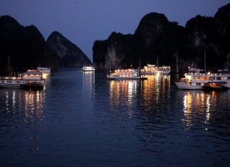 Vẻ đẹp của vịnh Hạ Long làm say lòng lữ khách xa gần